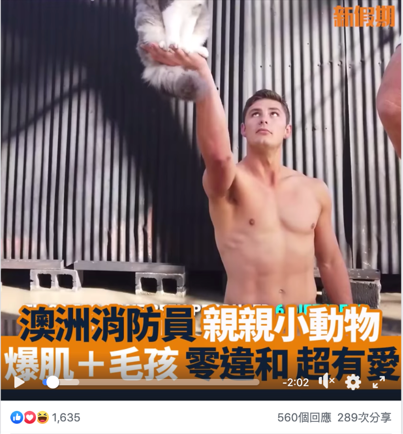 (圖片取自新假期Facebook)